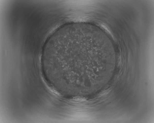 X0000071900491200607212020