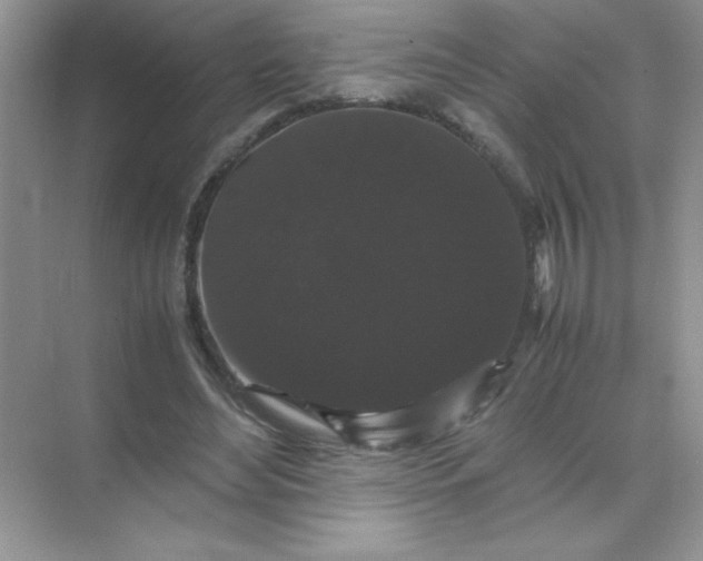 X0000071900492200607212020