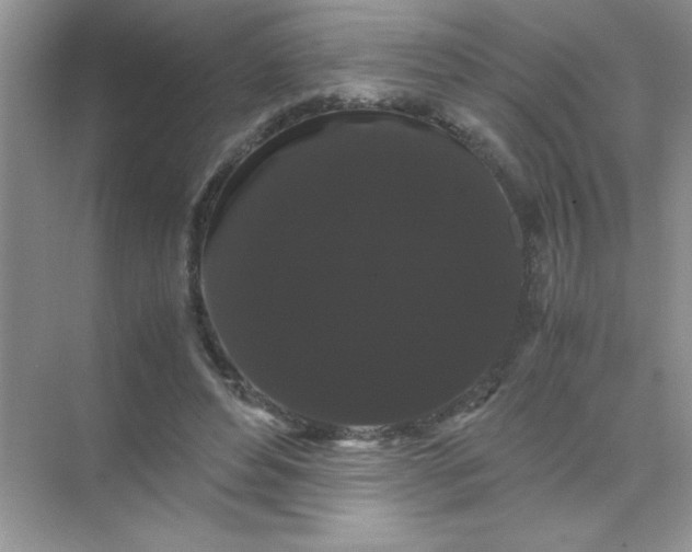 X0000071900496200607212020