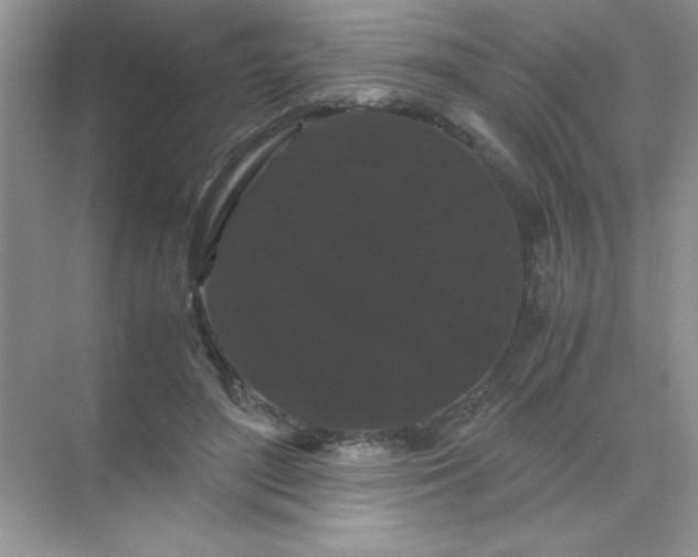 X0000071900500200607212020