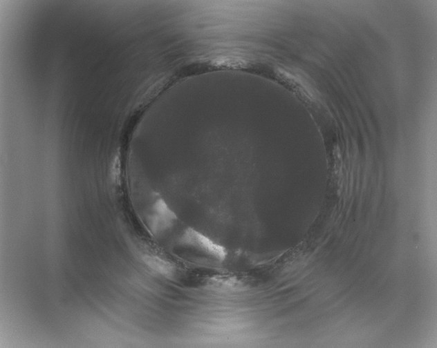 X0000071900502200607212020