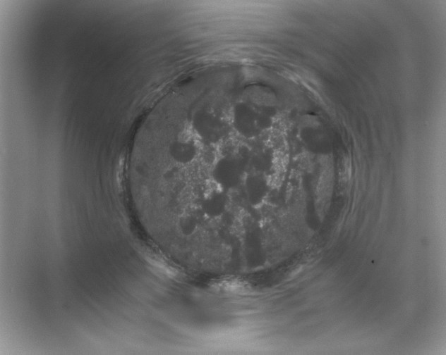 X0000071900503200607212020