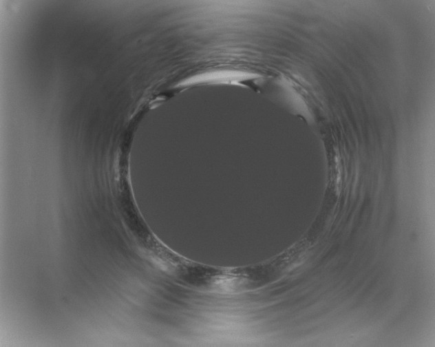 X0000071900504200607212020