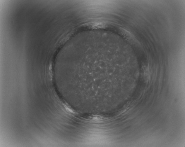 X0000071900506200607212020