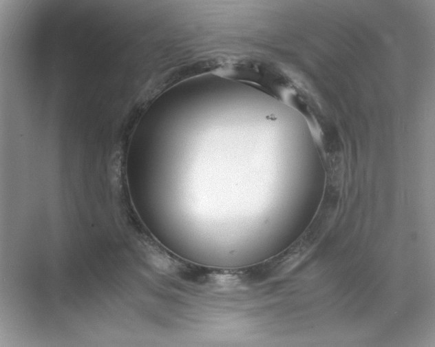 X0000071900509200607212020