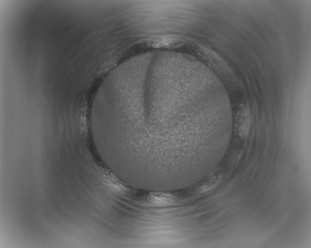 X0000071900510200607212020