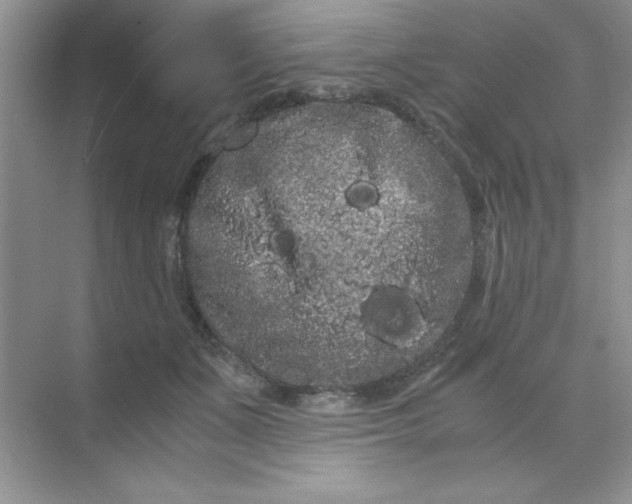 X0000071900511200607212020