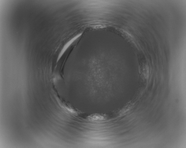 X0000071900512200607212020