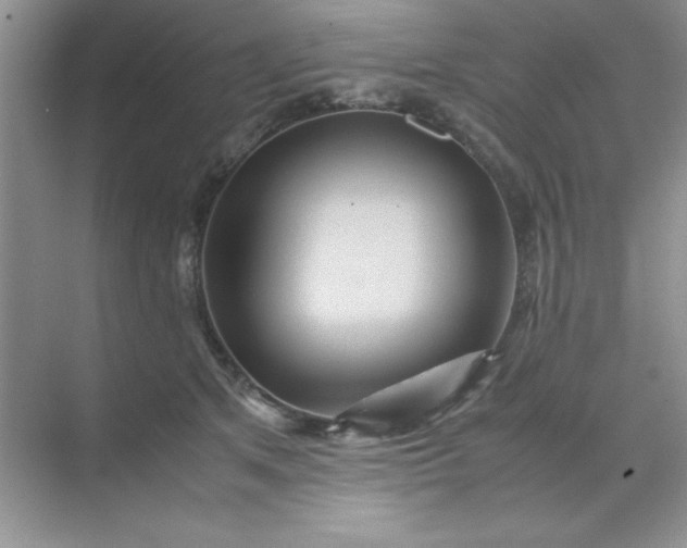 X0000071900513200607212020