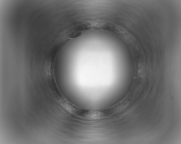 X0000071900514200607212020