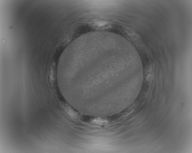 X0000071900515200607212020