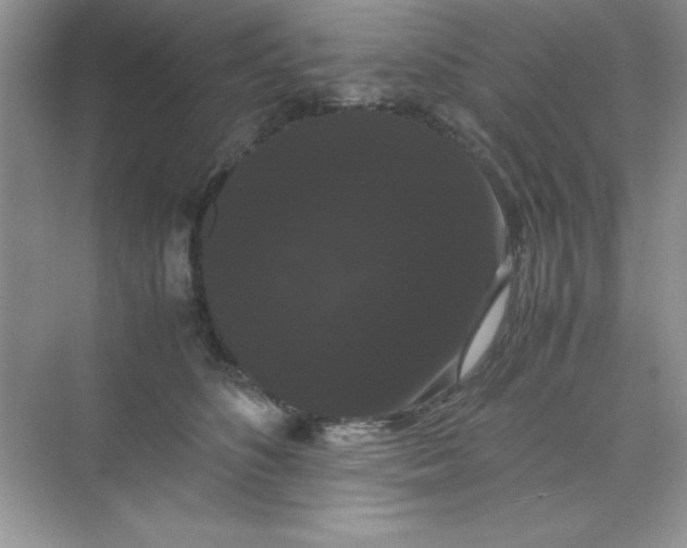 X0000071900516200607212020