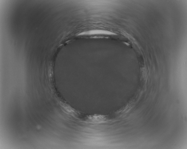 X0000071900517200607212020