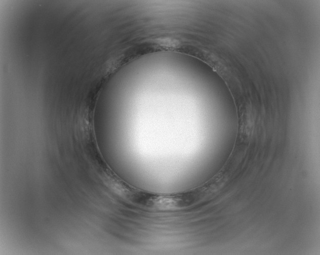 X0000071900518200607212020