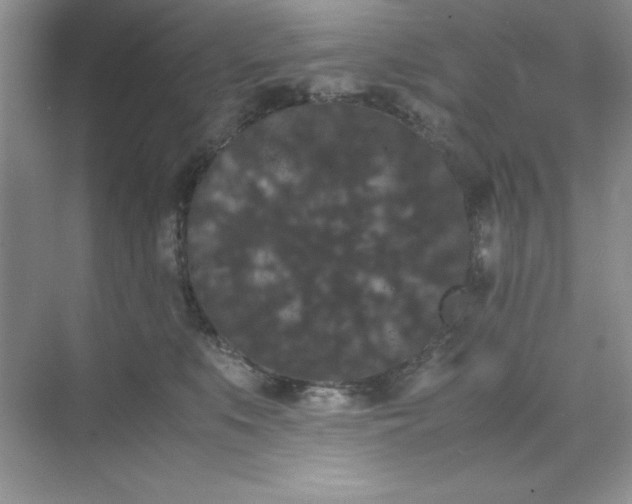 X0000071900519200607212020