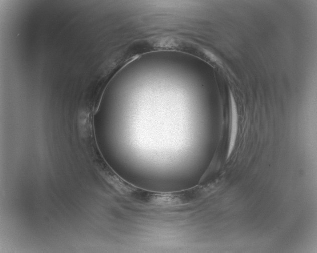 X0000071900521200607212020