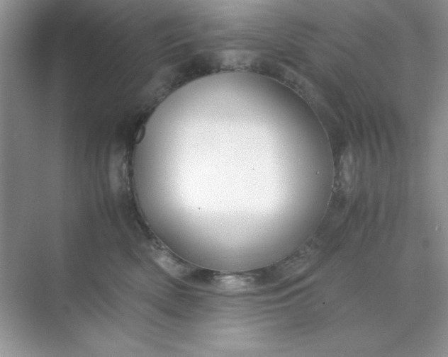 X0000071900522200607212020