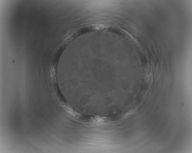 X0000071900523200607212020