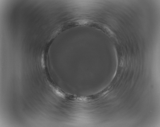 X0000071900524200607212019