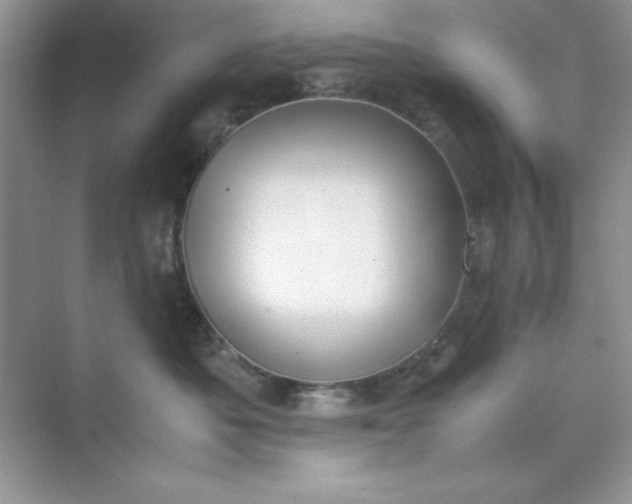 X0000071900525200607212019