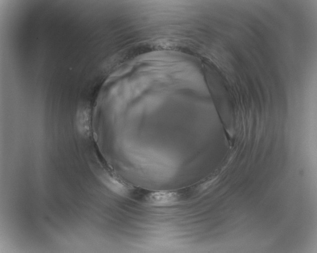 X0000071900526200607212019