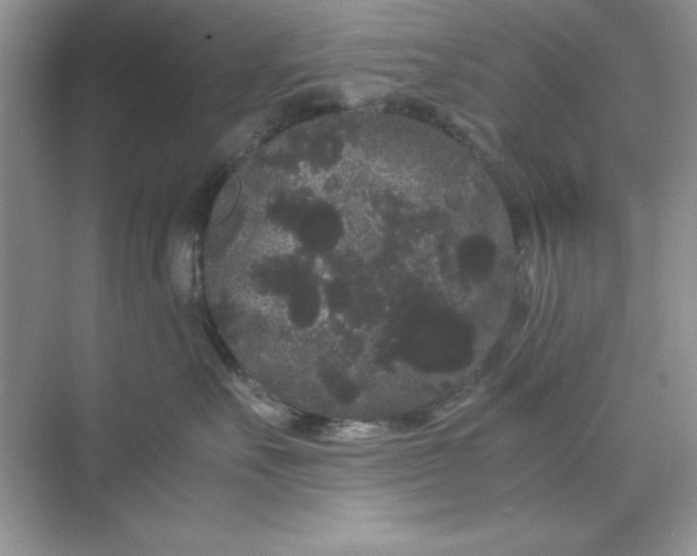 X0000071900527200607212019