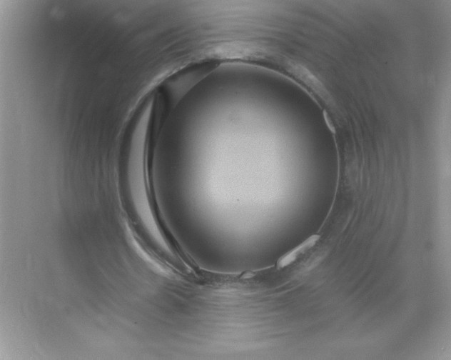 X0000071900530200607212019