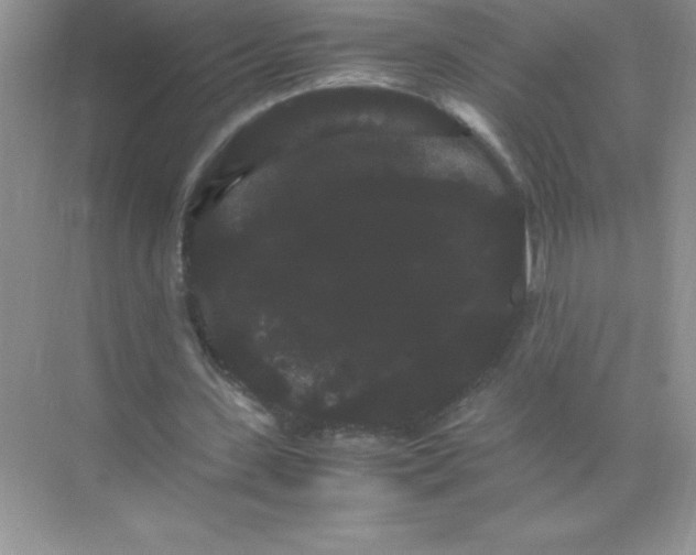 X0000071900531200607212019