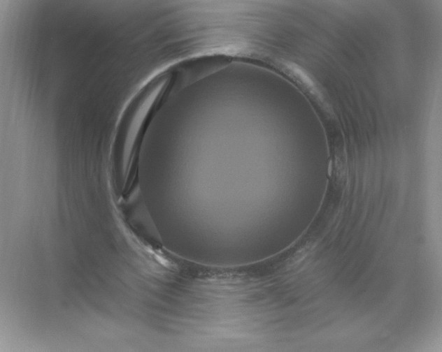 X0000071900532200607212019