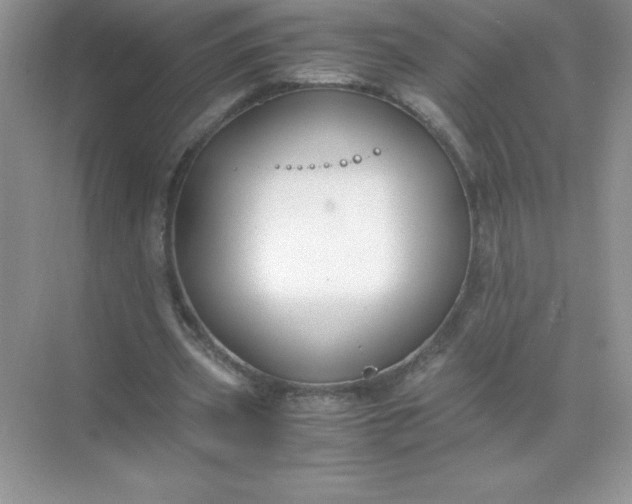 X0000071900533200607212019