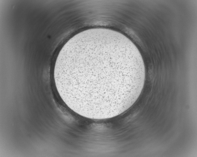 X0000071900534200607212019