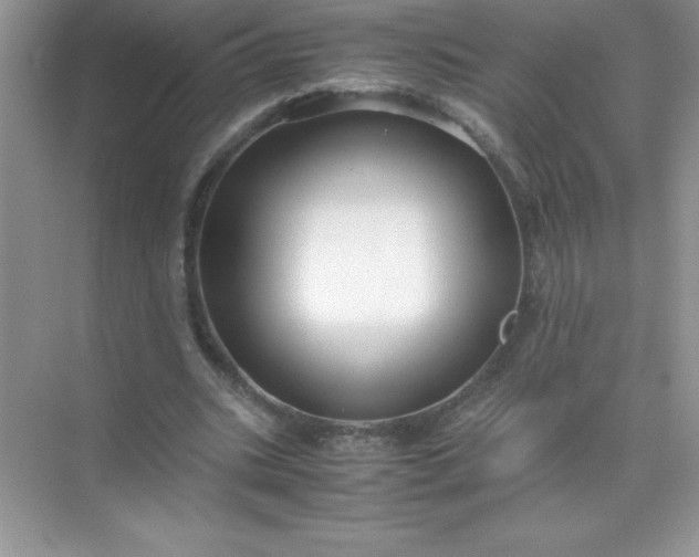 X0000071900535200607212019