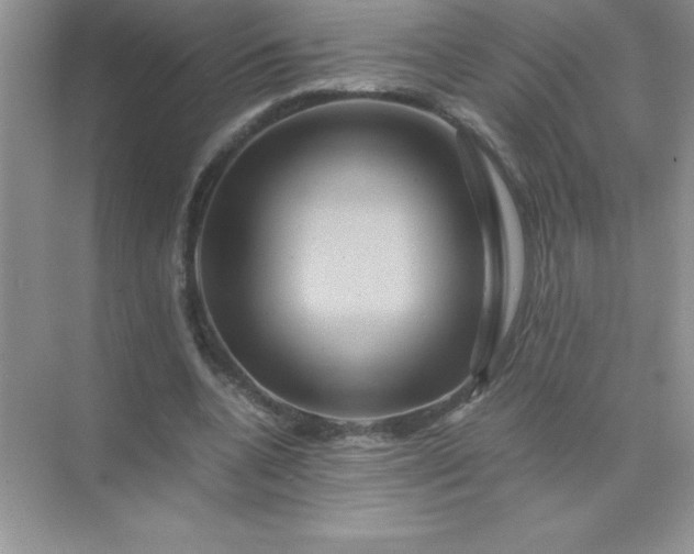 X0000071900536200607212019