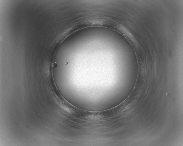 X0000071900537200607212019