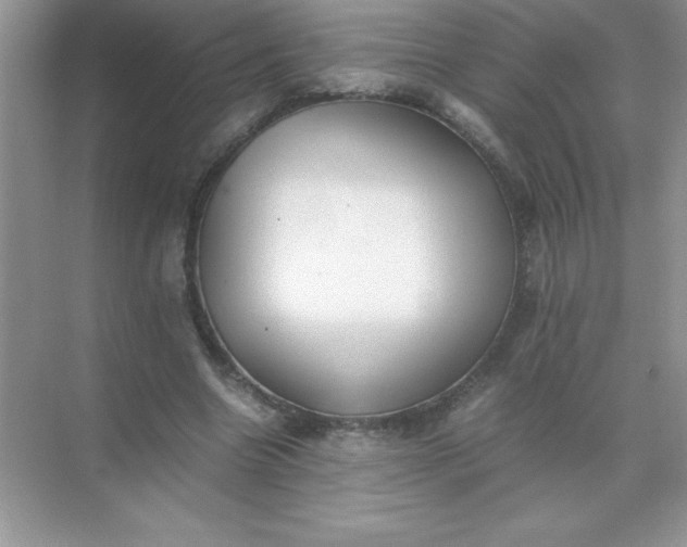 X0000071900538200607212019