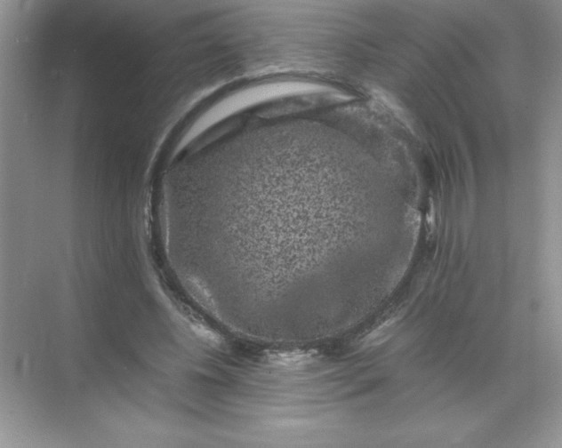 X0000071900540200607212019