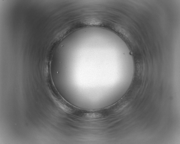 X0000071900541200607212019