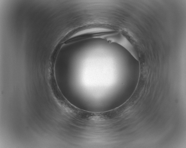 X0000071900544200607212019