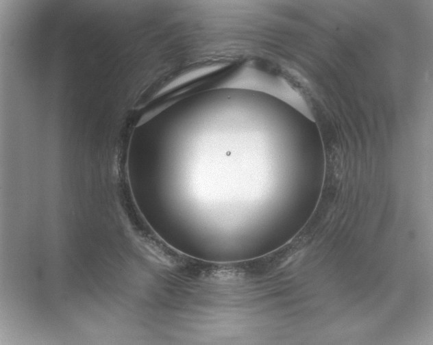 X0000071900546200607212019