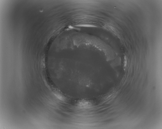 X0000071900547200607212019