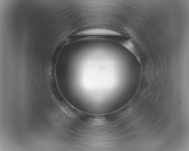 X0000071900548200607212019