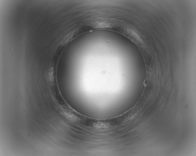 X0000071900549200607212019