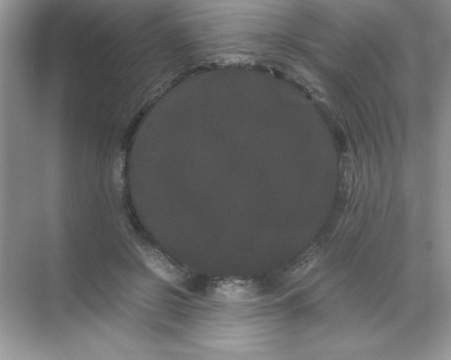 X0000071900550200607212019