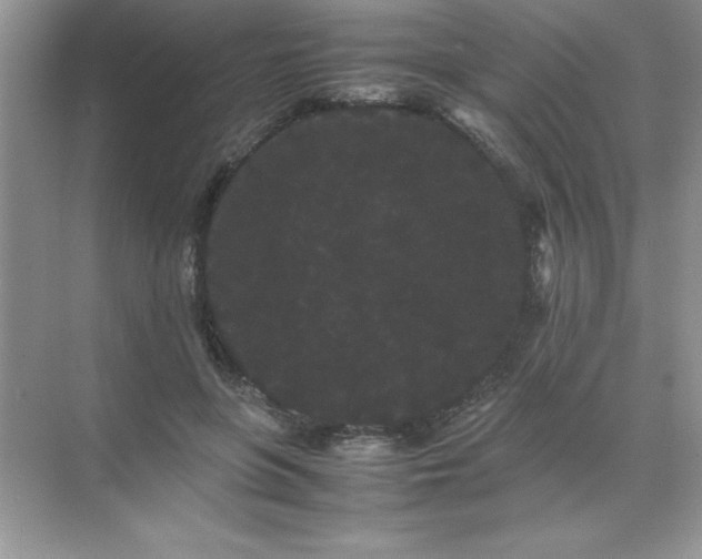 X0000071900551200607212019