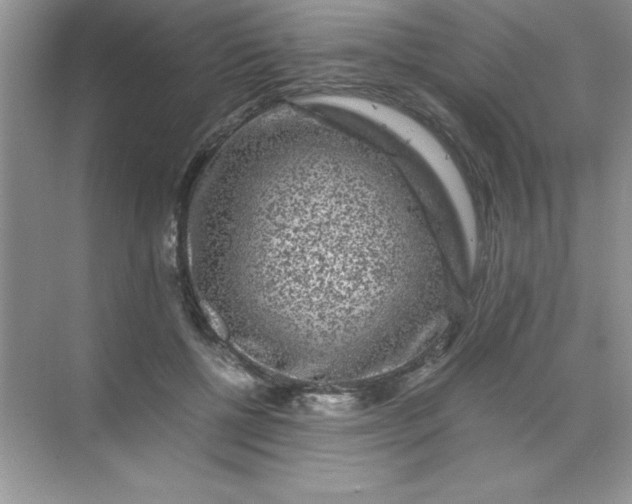 X0000071900552200607212019