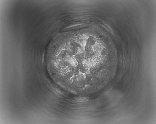 X0000071900553200607212019