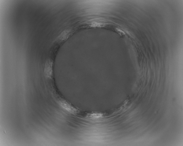 X0000071900554200607212019