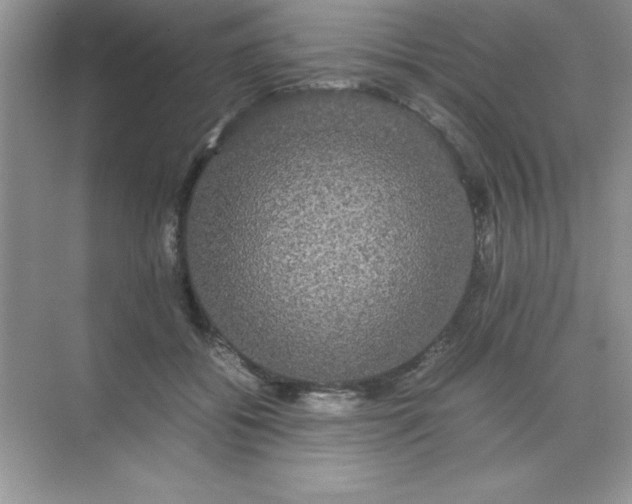 X0000071900556200607212019