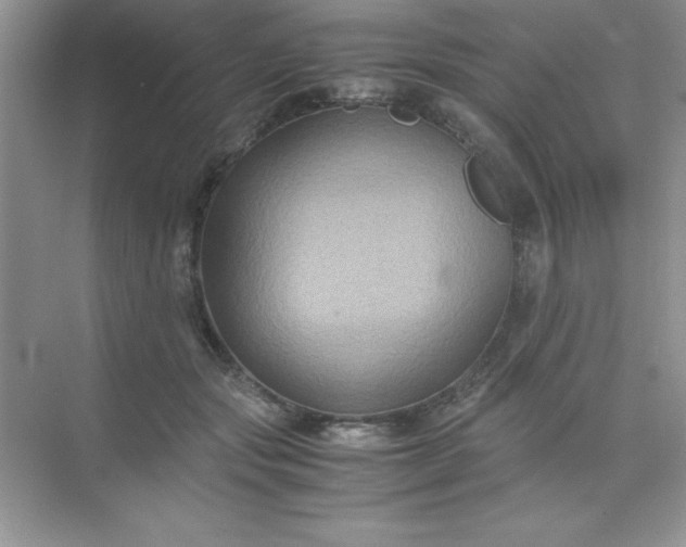 X0000071900557200607212019