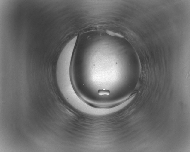 X0000071900558200607212019